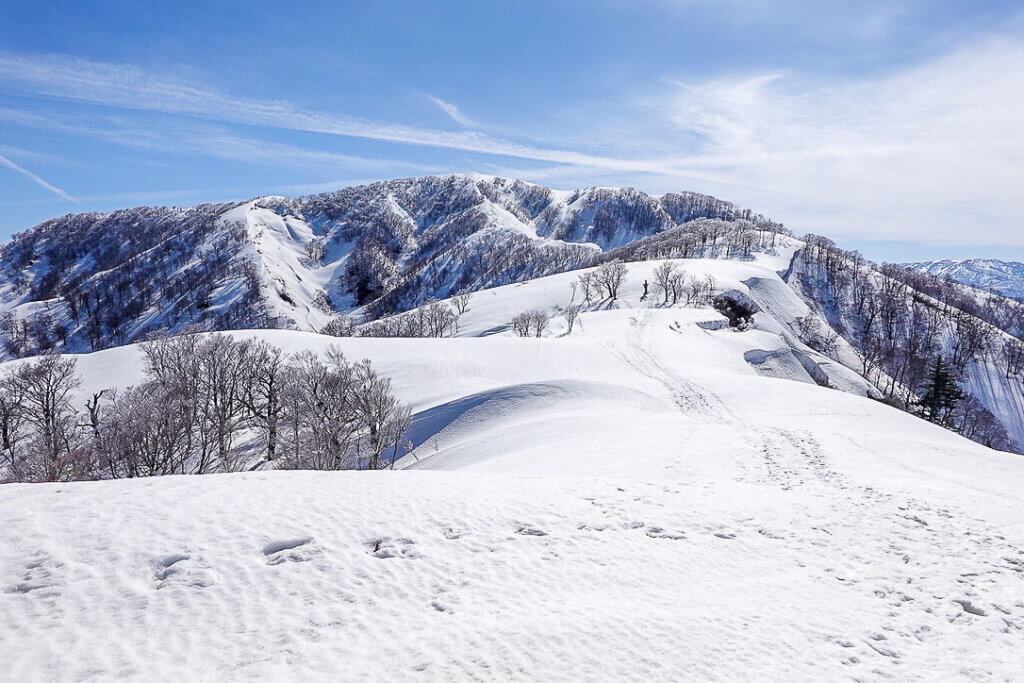 深山の雪 営業開始から1ヶ月が経ちましたが、山の上はまだまだ寒く昨晩は