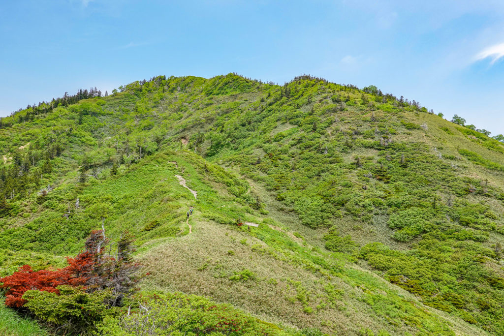 どこまでも続く山頂大湿原 祓川登山口から苗場山 日帰り登山 Karalog 四季折々の山を楽しむ山行ブログ