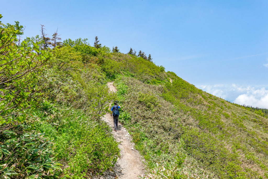 どこまでも続く山頂大湿原 祓川登山口から苗場山 日帰り登山 Karalog 四季折々の山を楽しむ山行ブログ