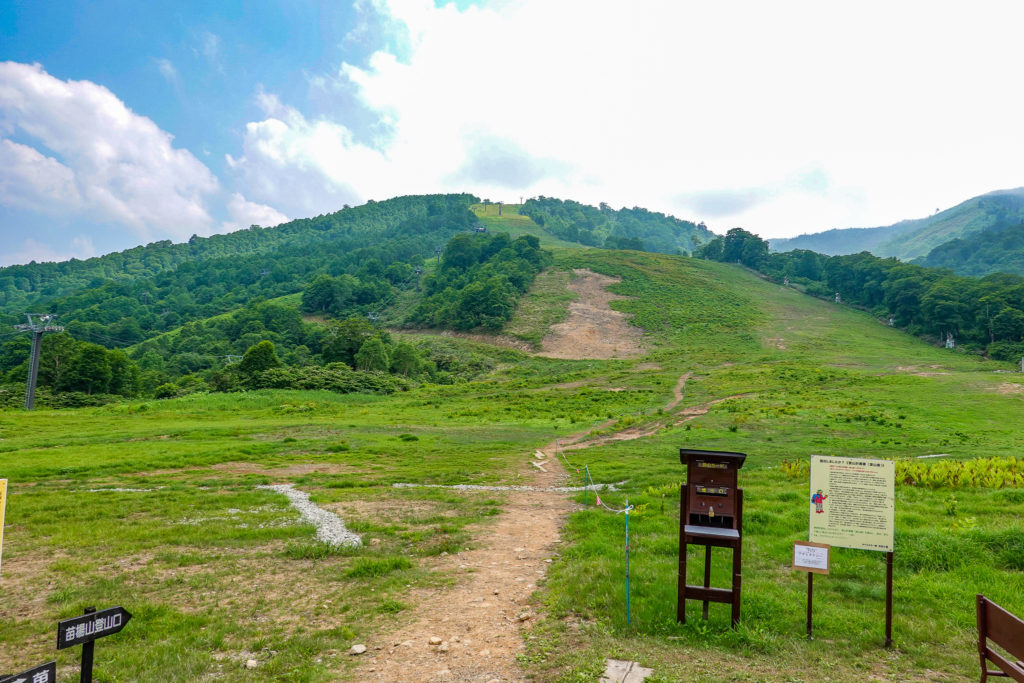 どこまでも続く山頂大湿原 祓川登山口から苗場山 日帰り登山 Karalog 四季折々の山を楽しむ山行ブログ