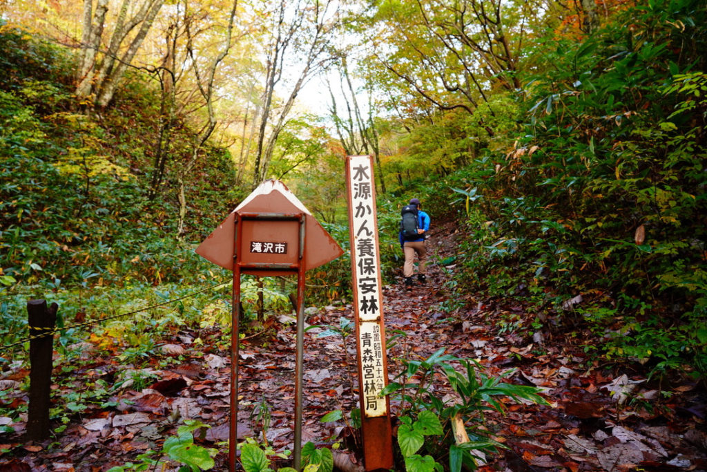 岩手山・柳沢コース前半は樹林帯