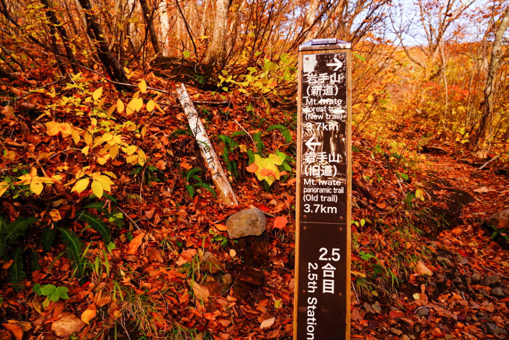 岩手山・2.5合目(新道・旧道分岐)