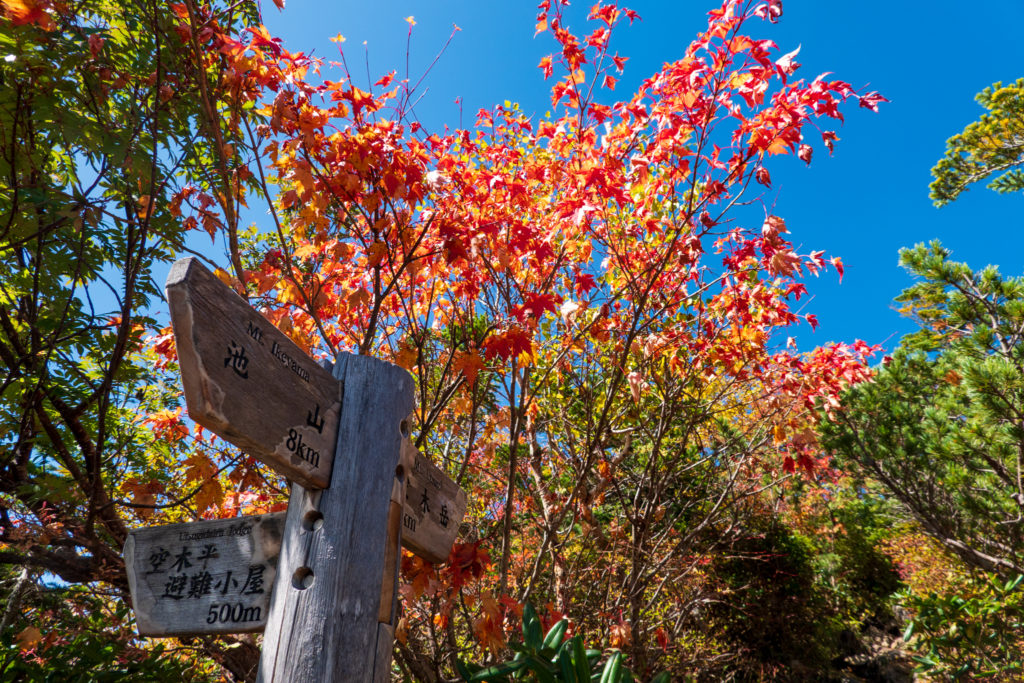 空木岳・駒石・空木平避難小屋との分岐