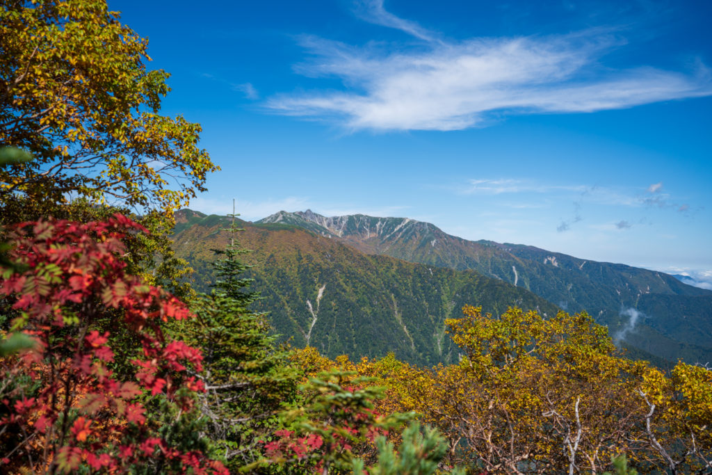 空木岳・空木岳からの千畳敷