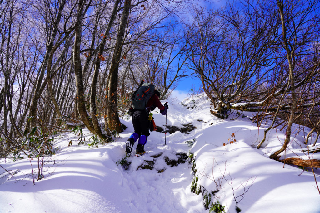 積雪期・荒島岳・シャクナゲ平前の急登