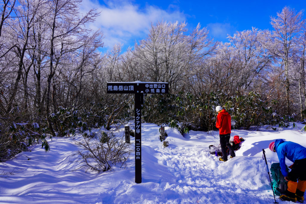 積雪期・荒島岳・シャクナゲ平