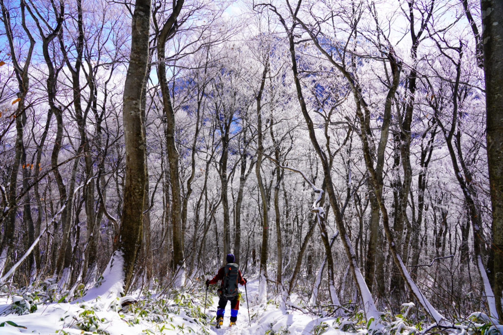 積雪期・荒島岳・シャクナゲ平から荒島岳へ