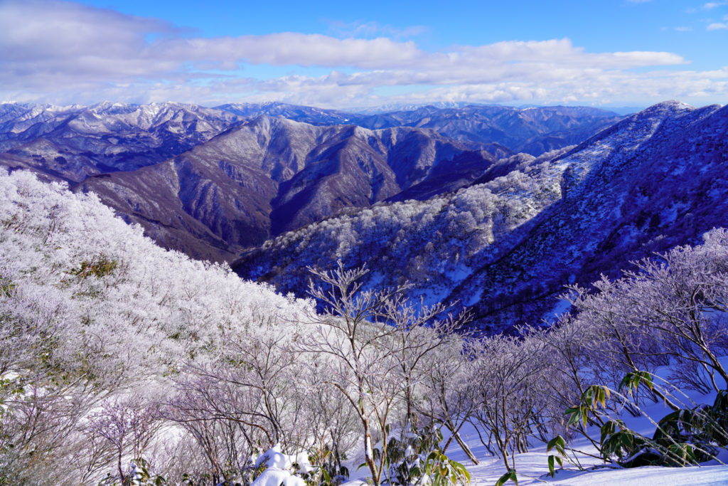積雪期・荒島岳・新・下山コースの稜線(続き)