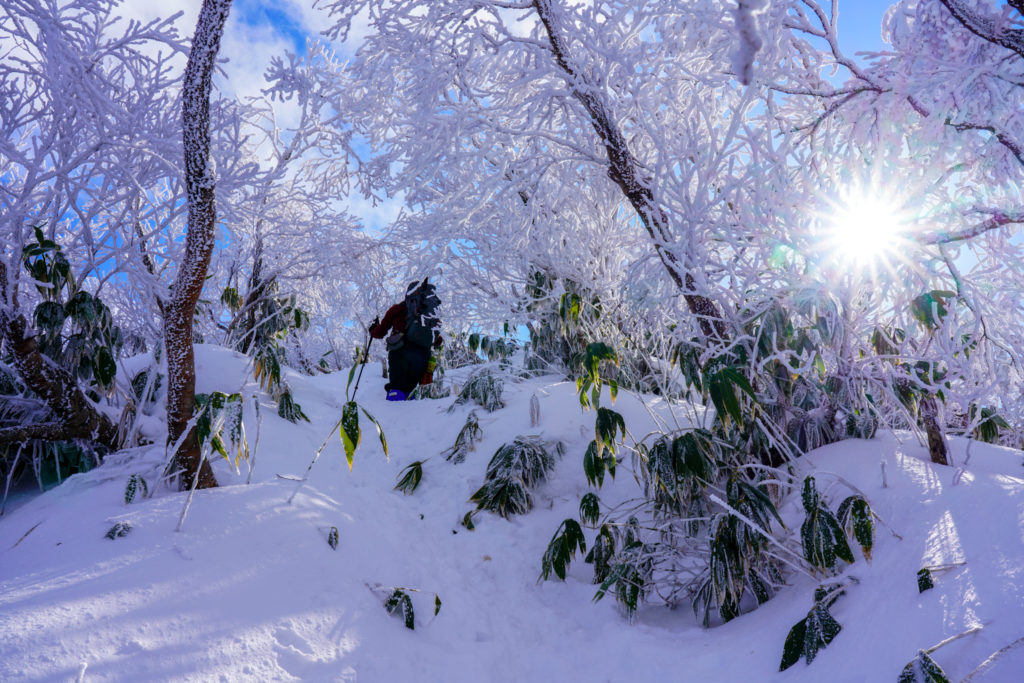 積雪期・荒島岳・霧氷のアーチを越えて