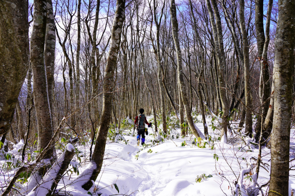 積雪期・荒島岳・小荒島岳へ