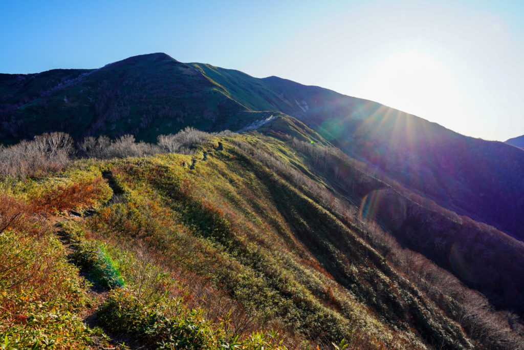 平標山・仙ノ倉山・松手山から見る平標山