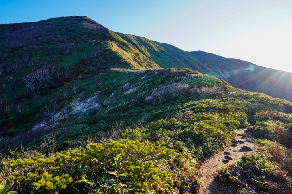 平標山・仙ノ倉山・松手山コース(七合目付近)