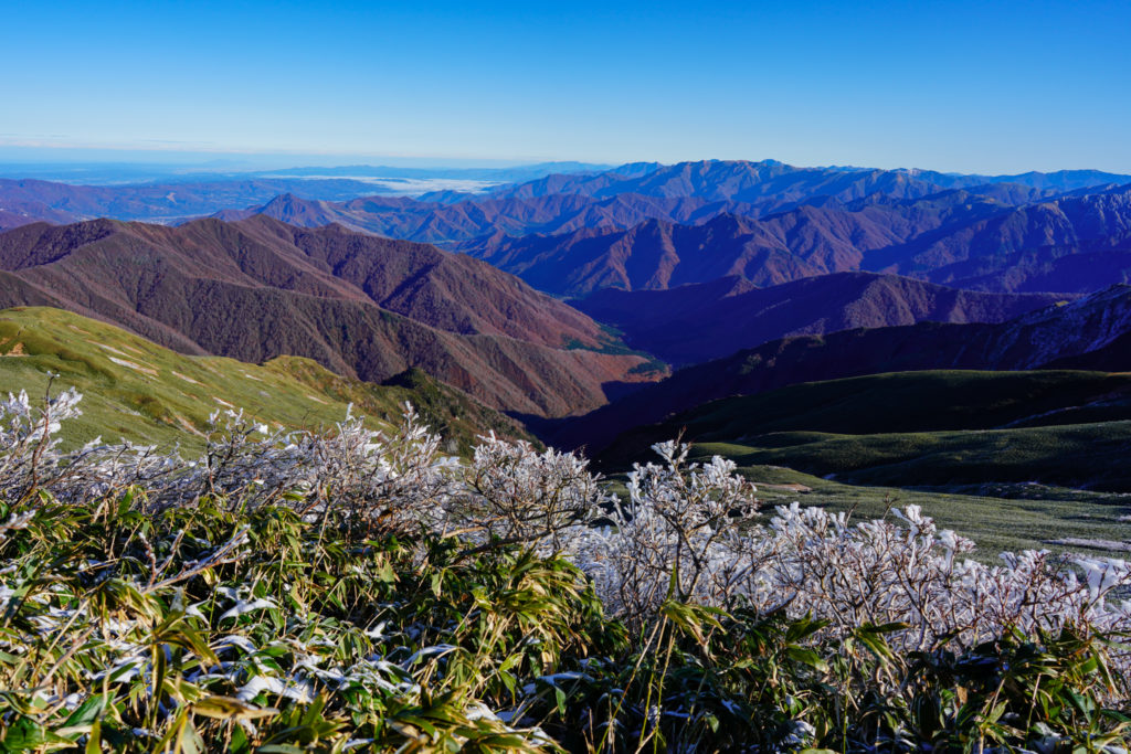 平標山・仙ノ倉山・平標山山頂からの展望