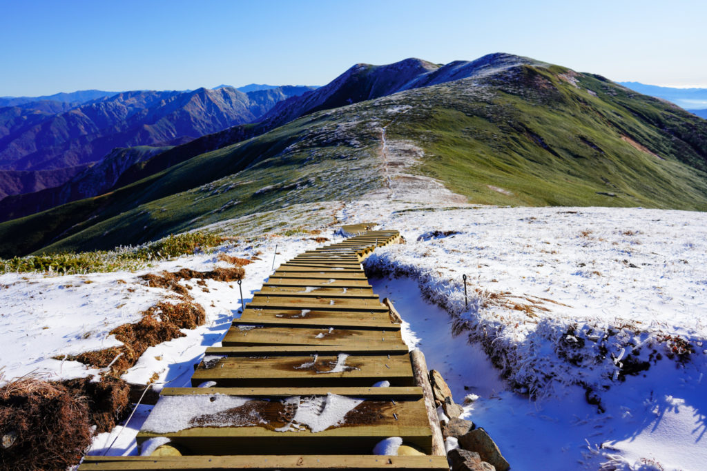 平標山・仙ノ倉山・仙ノ倉山へ続く木道