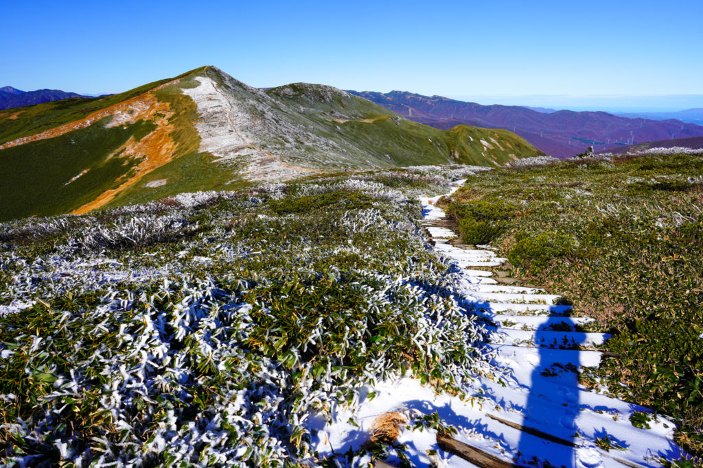 平標山・仙ノ倉山・仙ノ倉山へ続く木道2