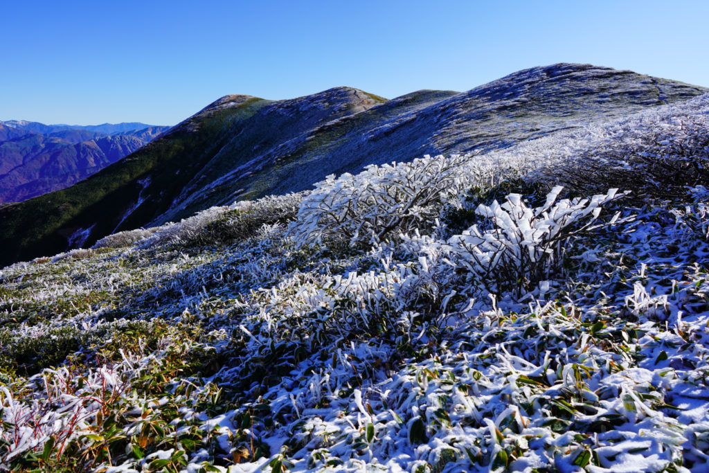 平標山・仙ノ倉山・雪だるまの季節が近づいてまいりました。