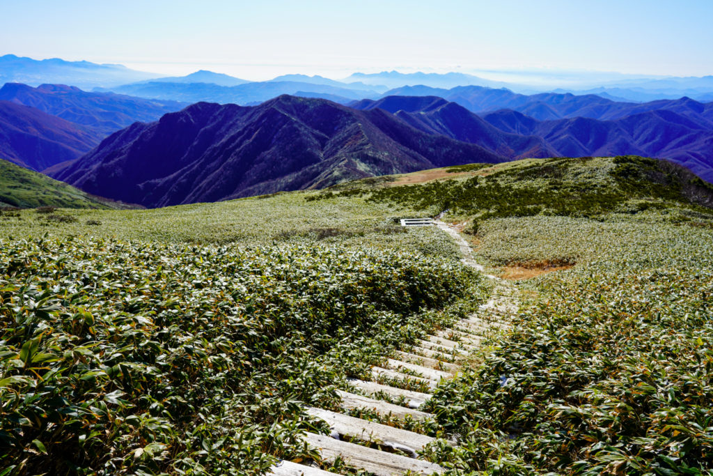 平標山・仙ノ倉山・平標山ノ家へ