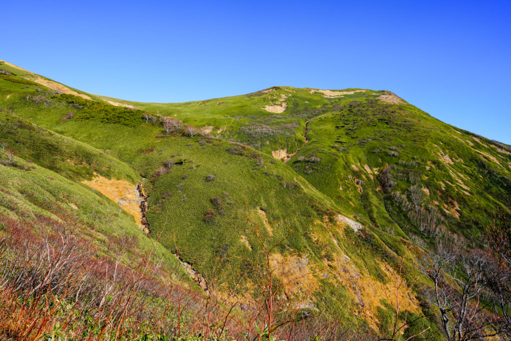 平標山・仙ノ倉山・平標山ノ家からの仙ノ倉山