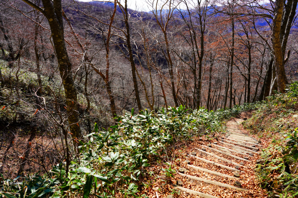 平標山・仙ノ倉山・平元新道
