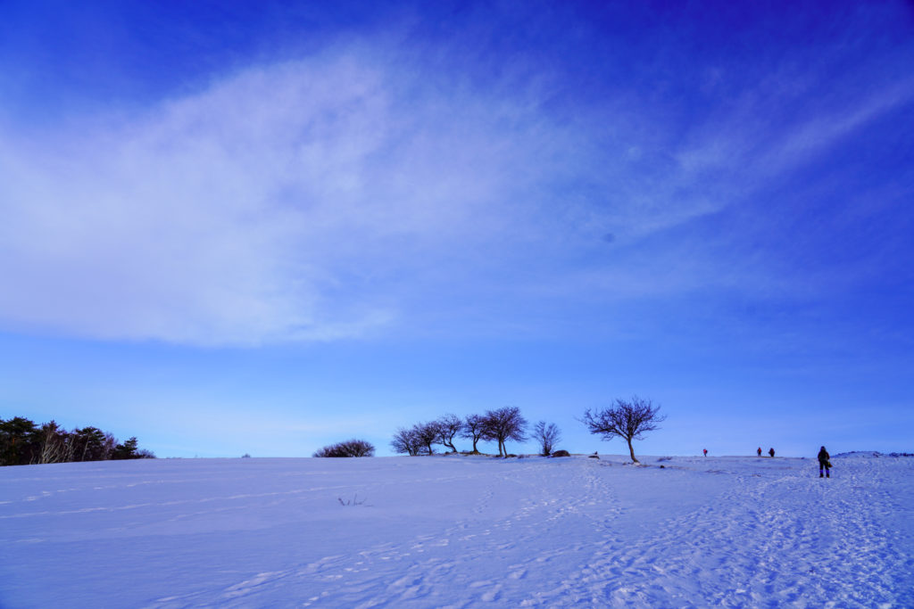 厳冬期・四阿山・雪原
