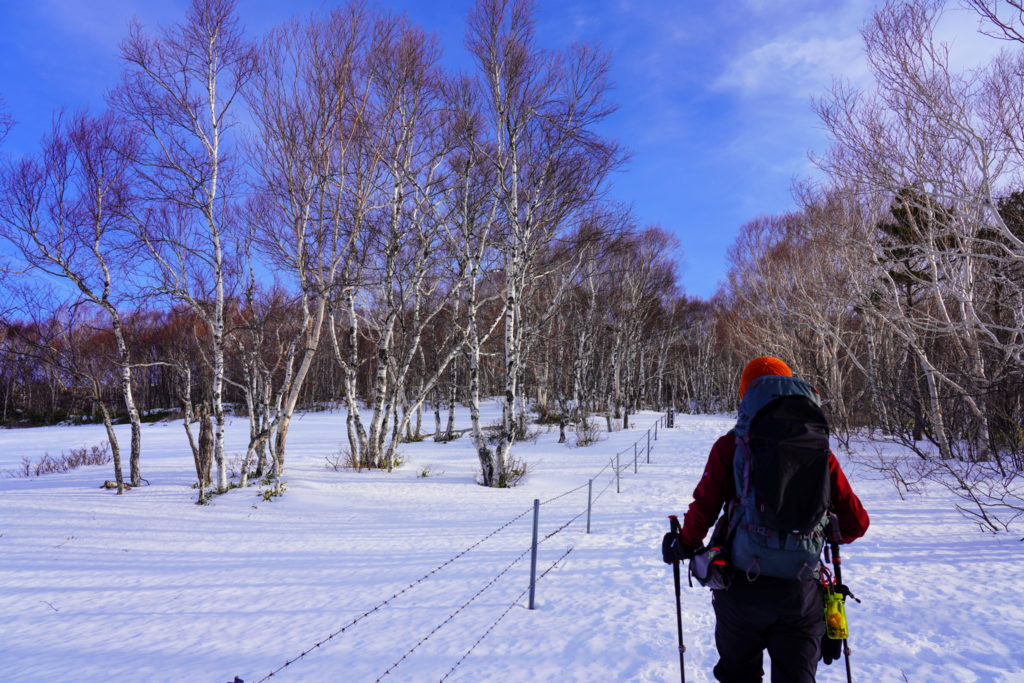 厳冬期・四阿山・牧柵に沿って歩く登山道