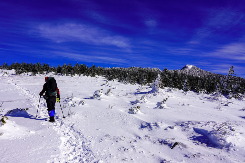 厳冬期・四阿山・四阿山山頂を目指す