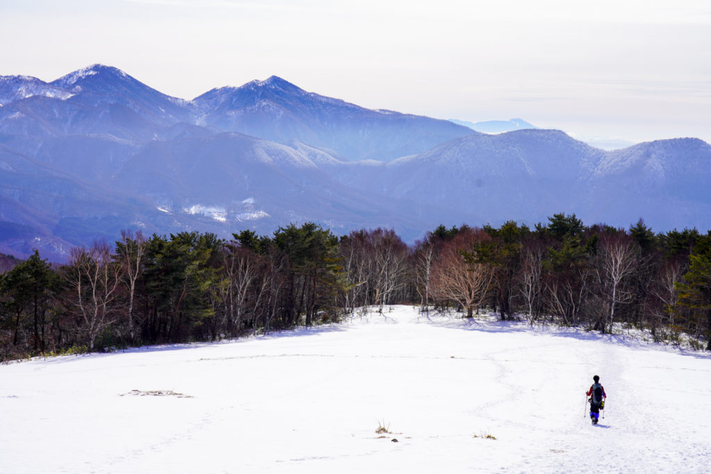 厳冬期・四阿山・雪原を歩く