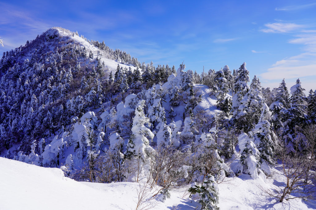 厳冬期・四阿山・雪の四阿山