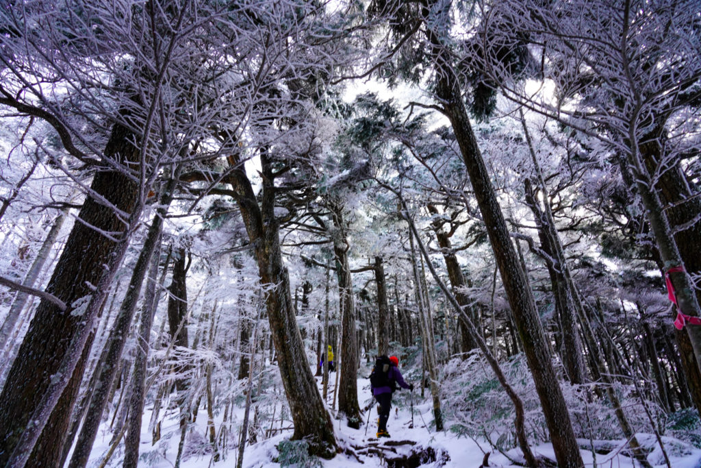 厳冬期・天狗岳・西尾根登山道