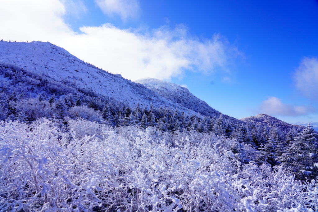 厳冬期・天狗岳・天狗岳を仰ぐ