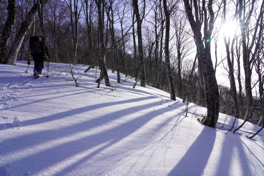 残雪期・東谷山・日白山・樹林帯を抜けて