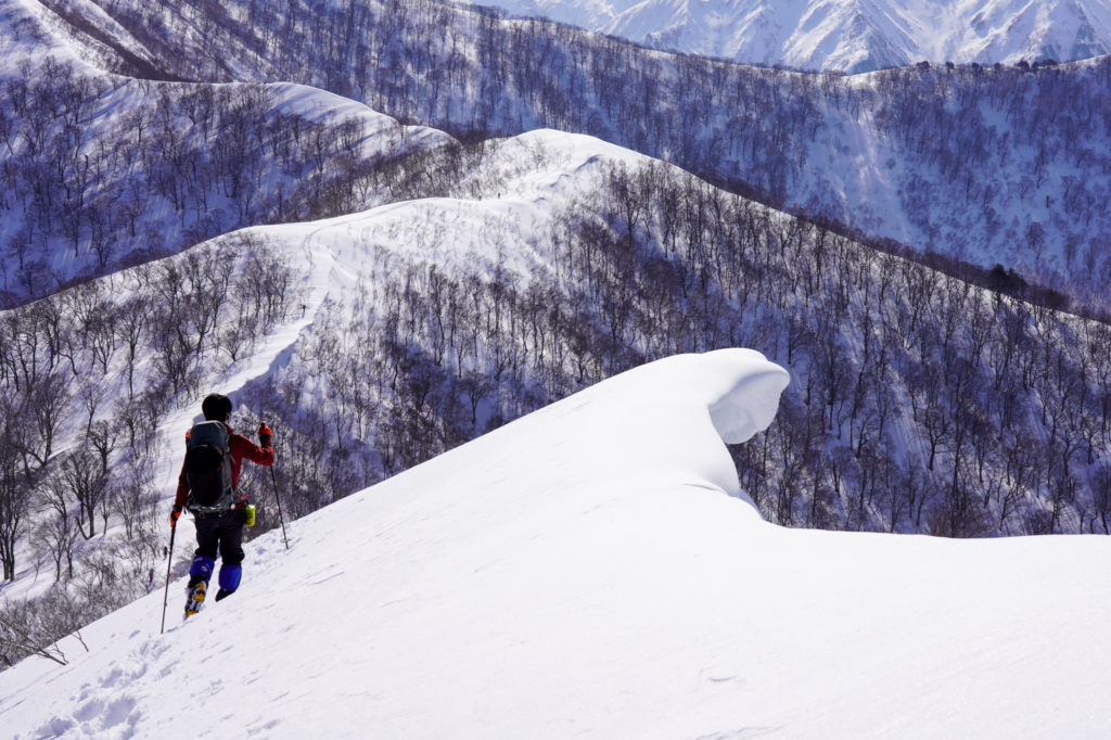残雪期・東谷山・日白山・東谷山から日白山へ