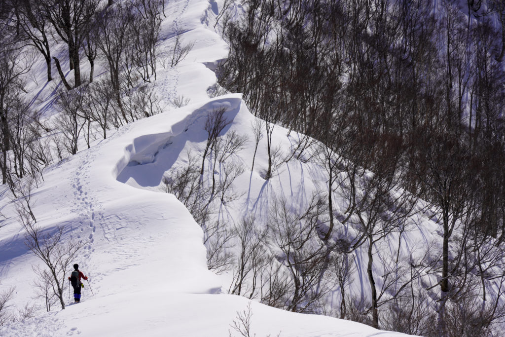 残雪期・東谷山・日白山・東谷山から日白山へと続く雪庇の稜線