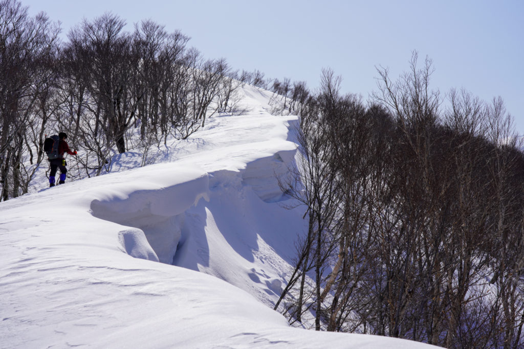 残雪期・東谷山・日白山・東谷山から日白山へと続く雪庇の稜線、その3