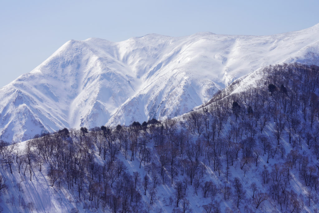 残雪期・東谷山・日白山・迫力の仙ノ倉山