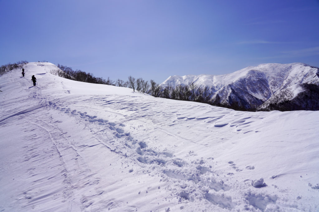 残雪期・東谷山・日白山・日白山ビクトリーロード