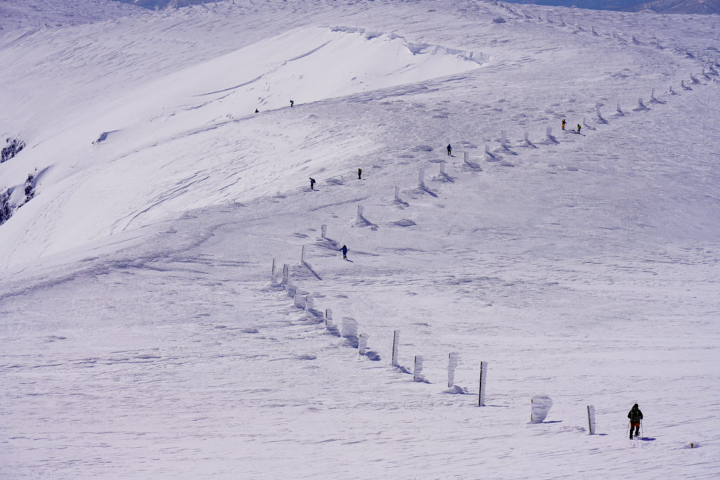 残雪期・蔵王山(熊野岳・刈田岳)・どこまでも続く木柱