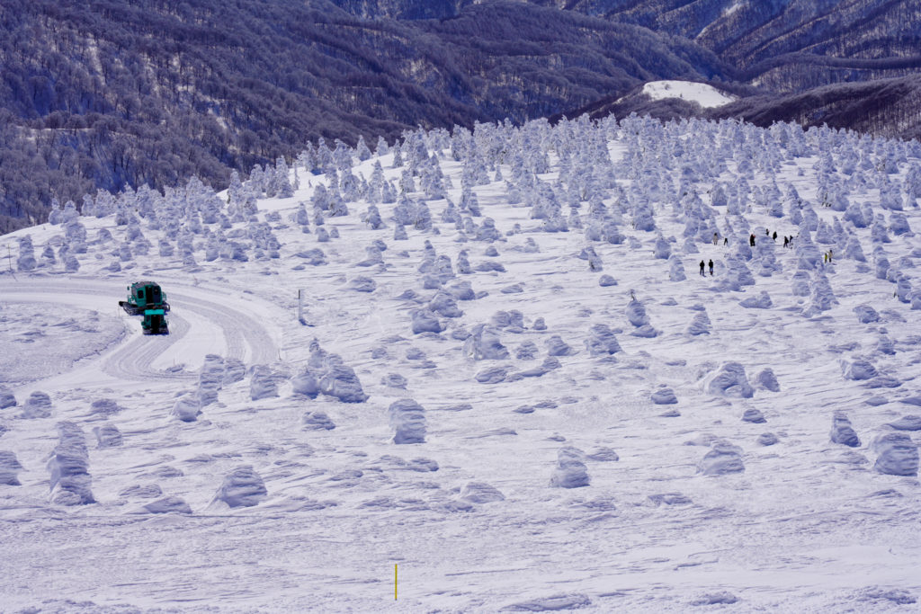残雪期・蔵王山(熊野岳・刈田岳)・スノーモンスターめぐり?