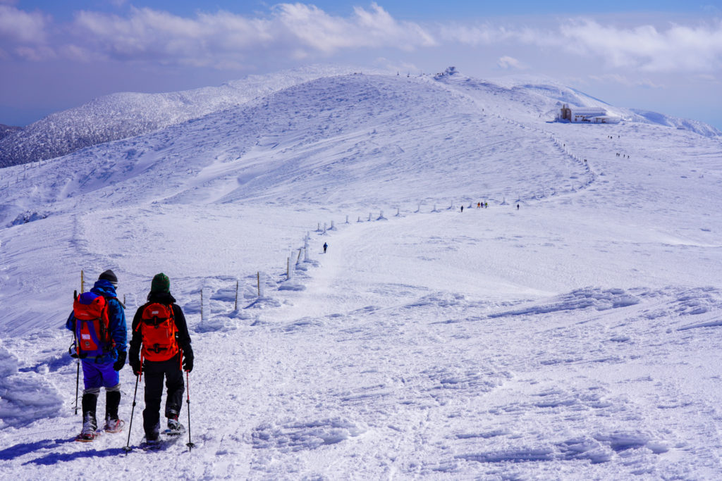 残雪期・蔵王山(熊野岳・刈田岳)・刈田岳へと向かう登山者