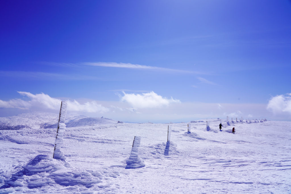 残雪期・蔵王山(熊野岳・刈田岳)・どこまでも続く氷の柱