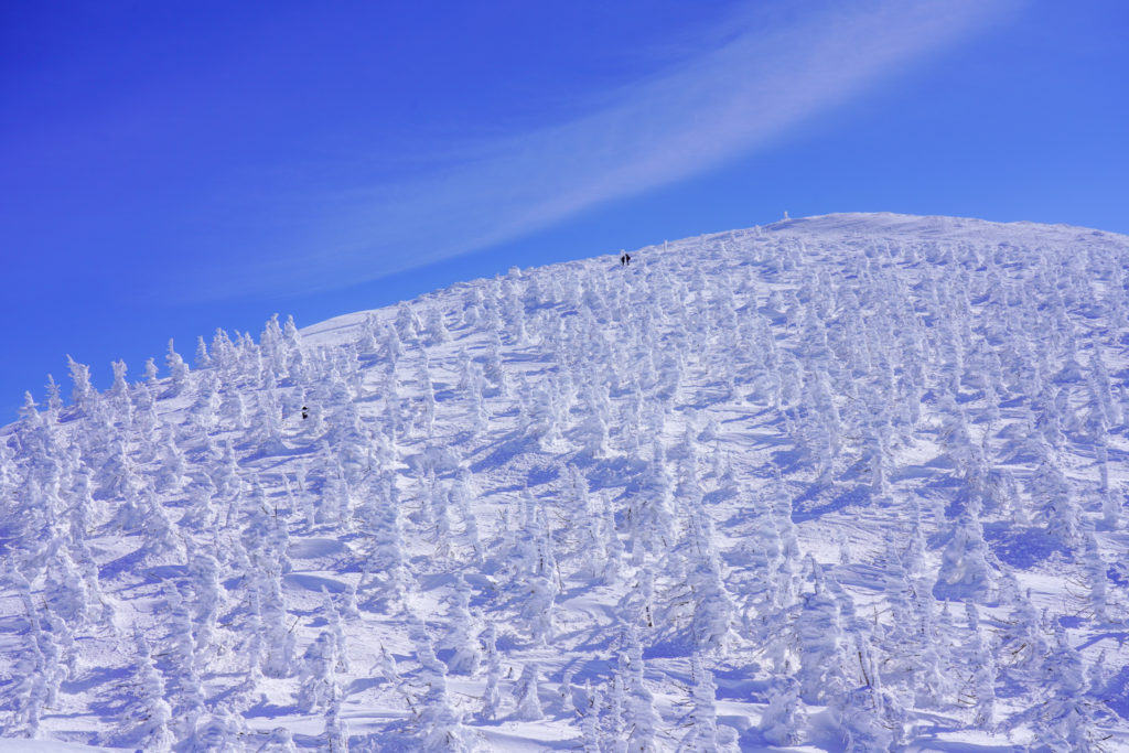 残雪期・蔵王山(熊野岳・刈田岳)・三宝荒神山?
