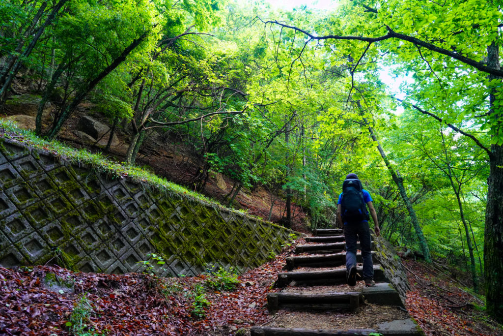金峰山・林道出合