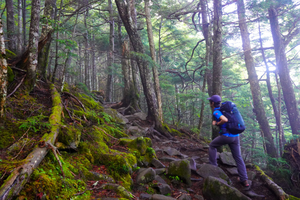 金峰山・苔生す飯盛山