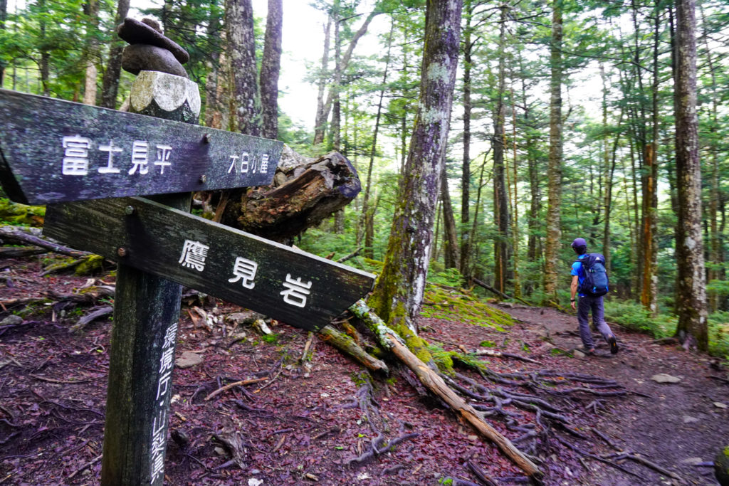 金峰山・鷹見岩の分岐
