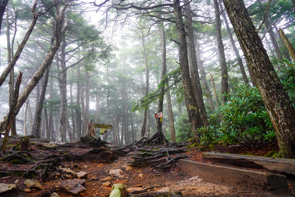 金峰山・八丁平との分岐地点