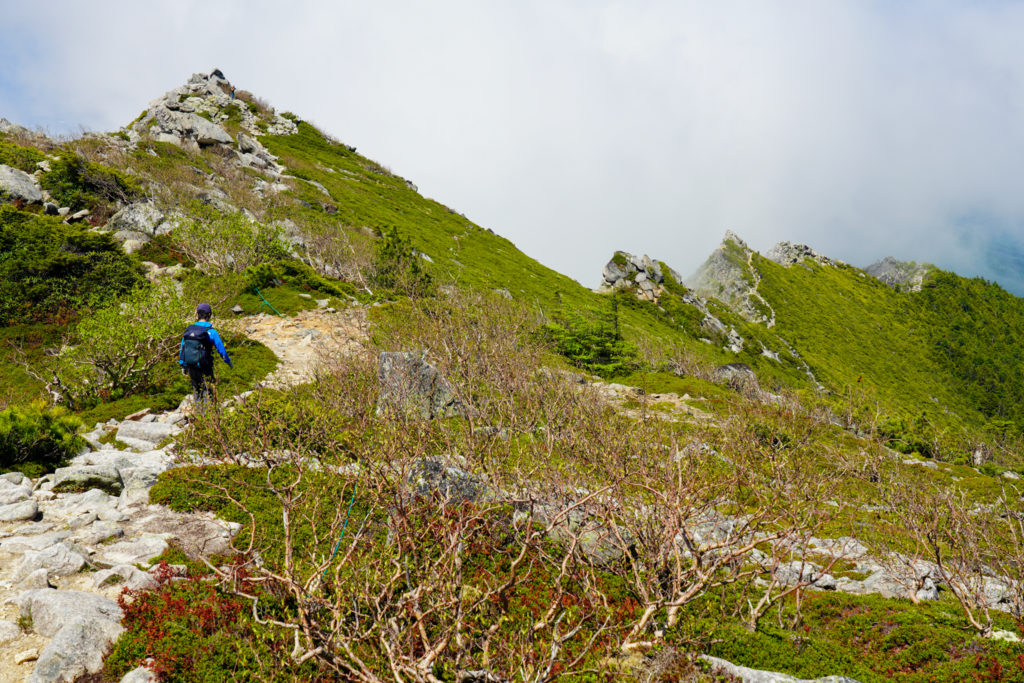 金峰山・下山開始。砂払ノ頭へと向かう