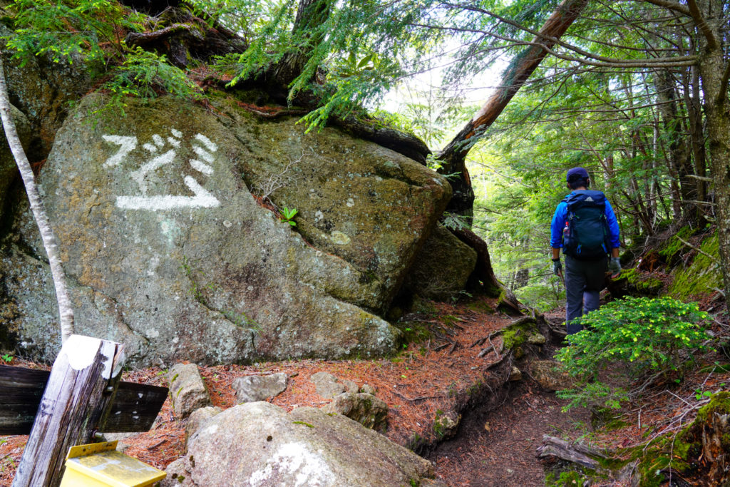 金峰山・大日小屋から富士見平小屋へ