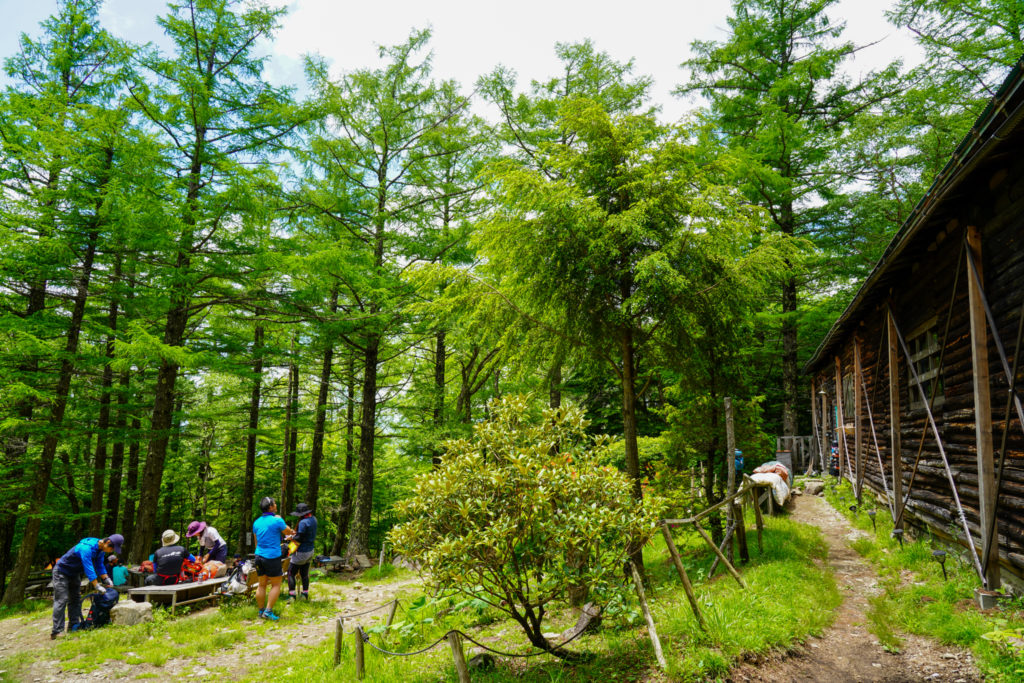 金峰山・緑が濃い富士見平小屋
