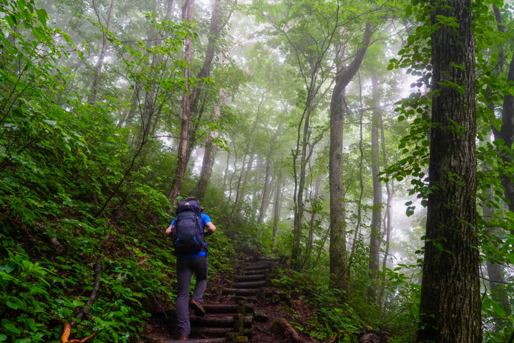 平標山・仙ノ倉山・松手山の急坂