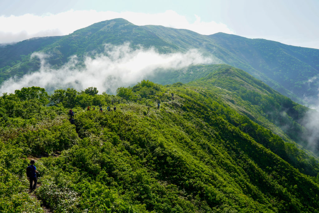 平標山・仙ノ倉山・松手山から平標山へ